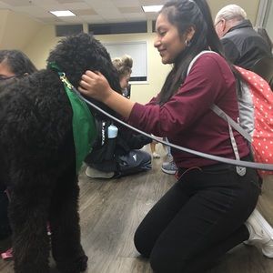 Meet your Posher, Danitza